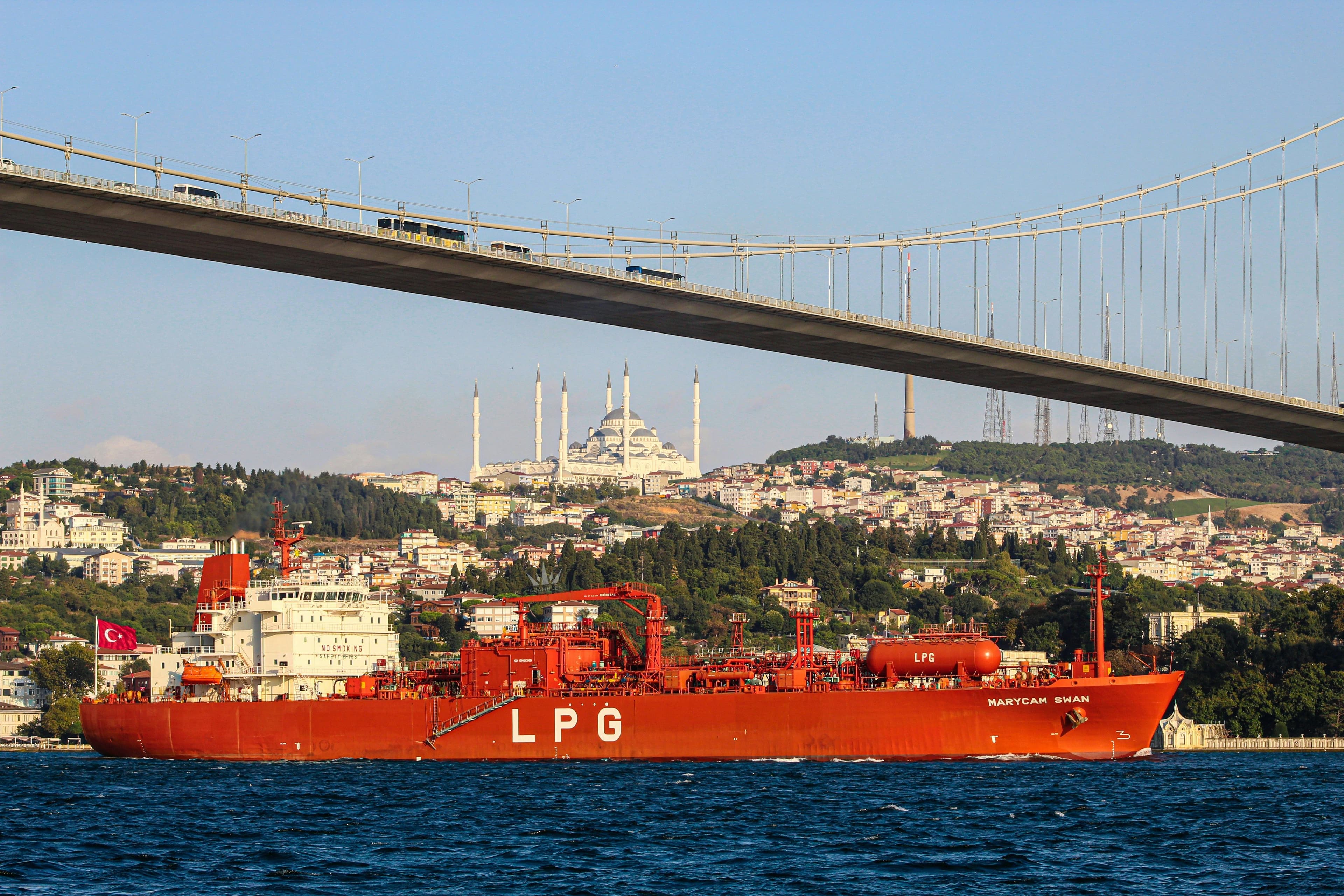 LNG/ PNG