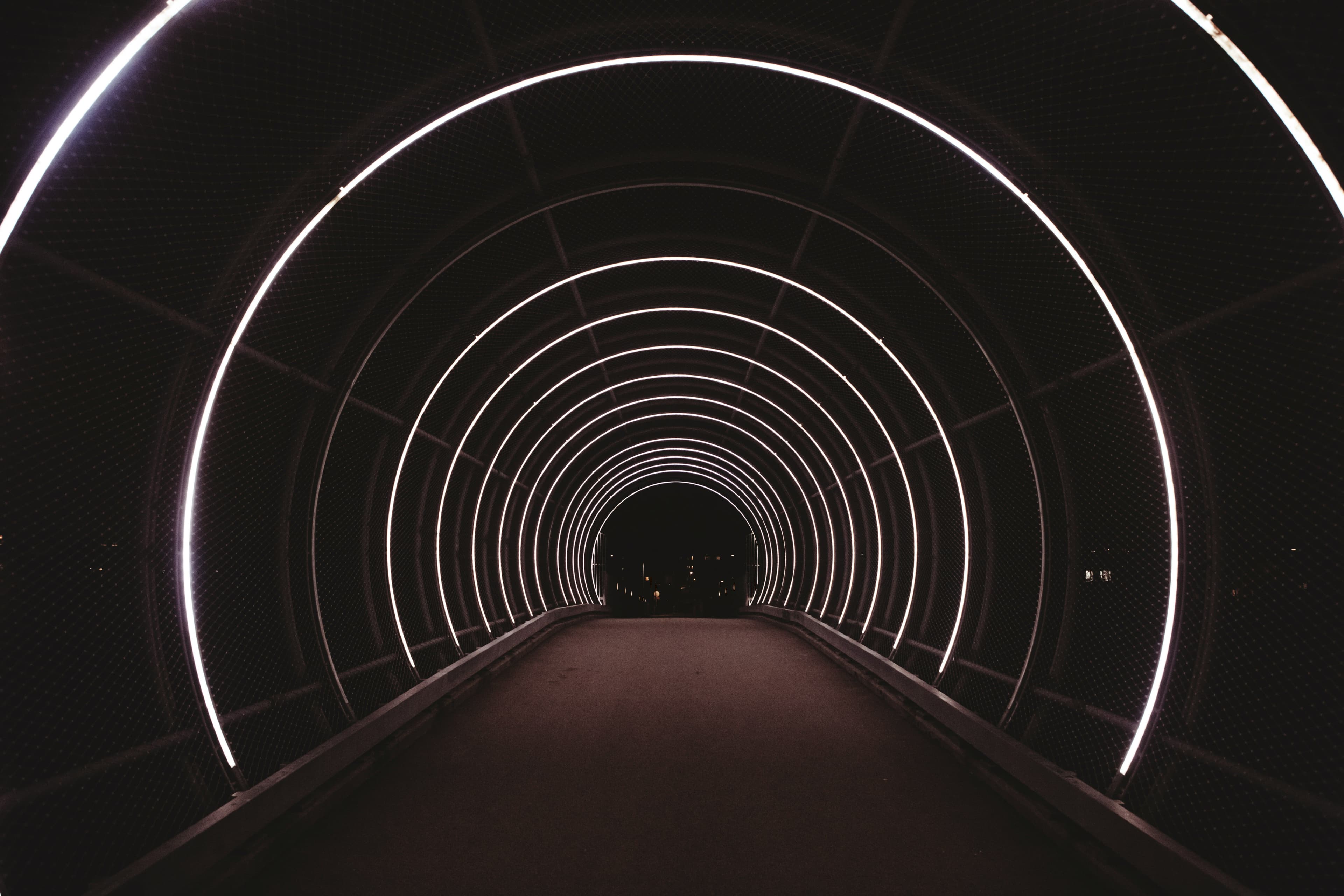 Vision